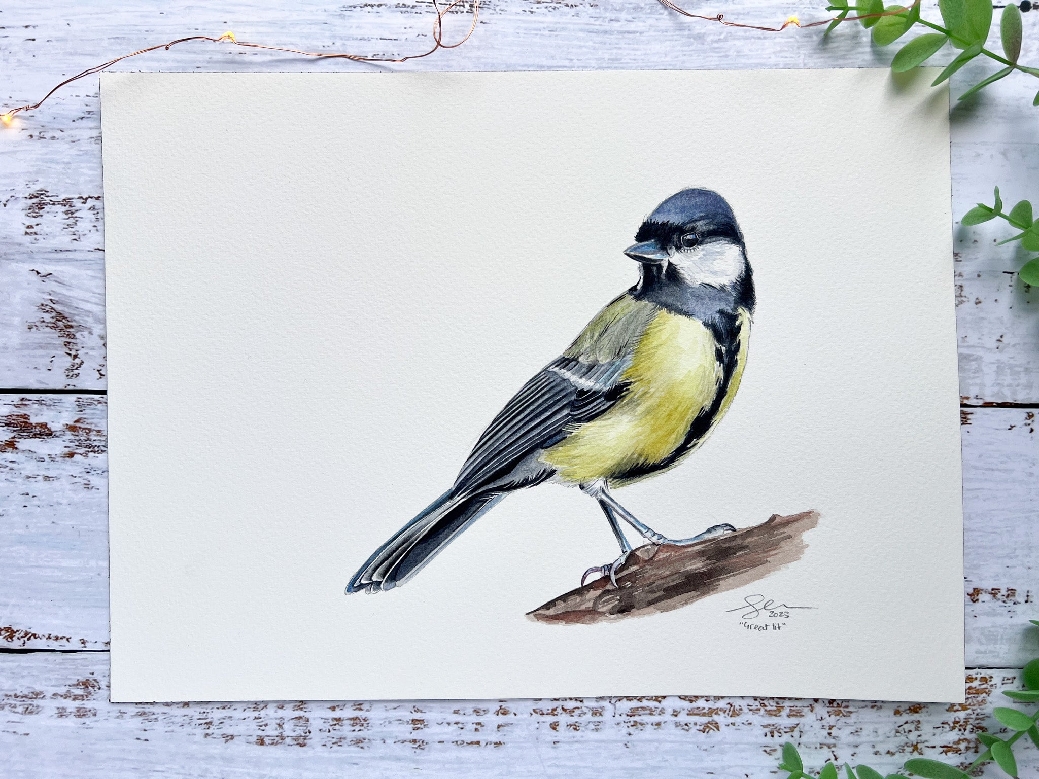 Great tit original watercolour painting - A4 – GeorginaDoodles