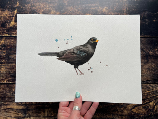 A watercolour painting of a blackbird