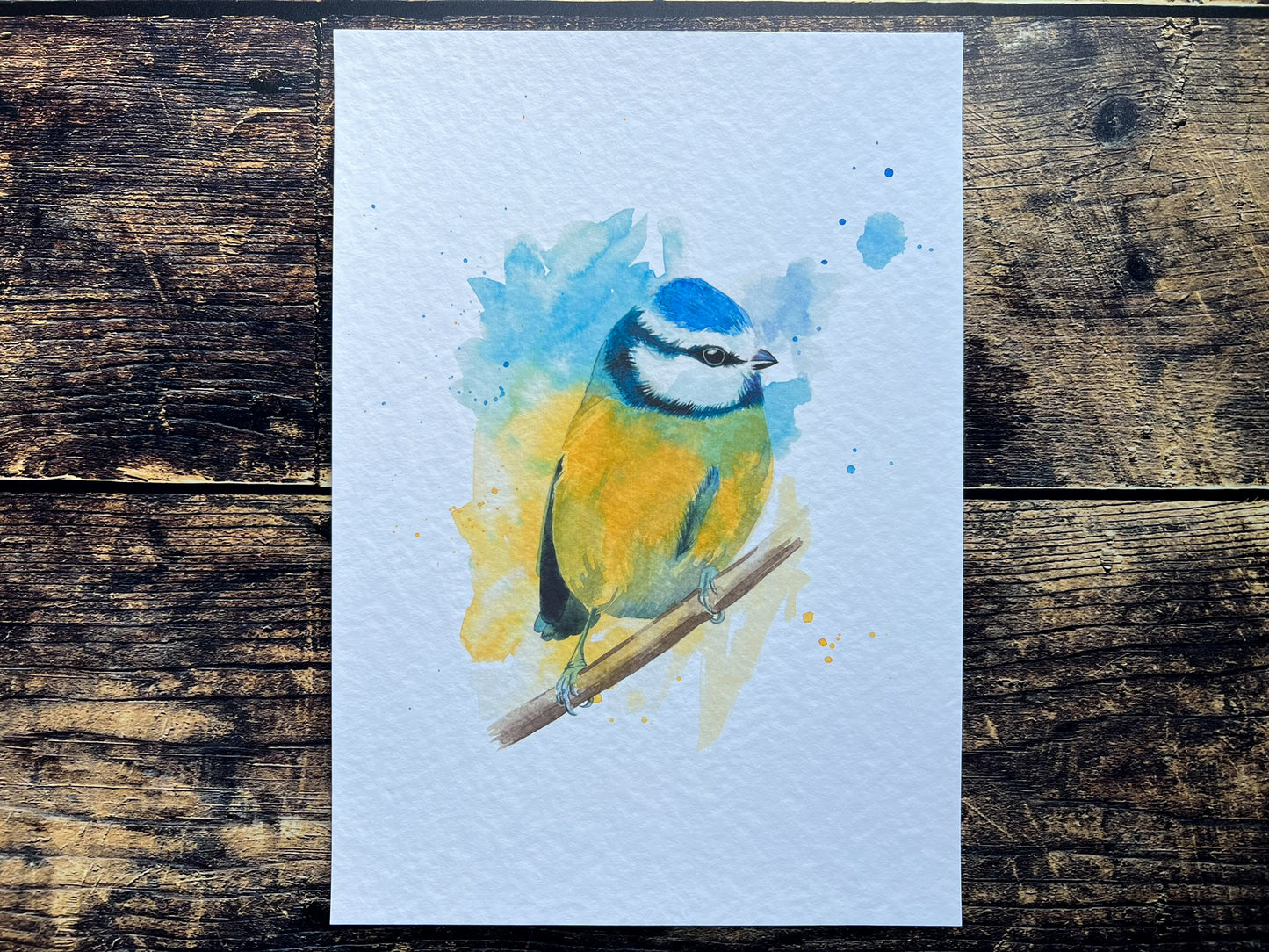 An A4 print of a blue tit on textured archival paper.