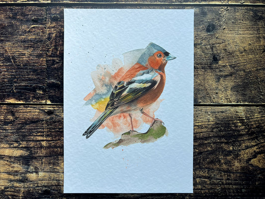 An A4 print of a chaffinch on textured archival paper.