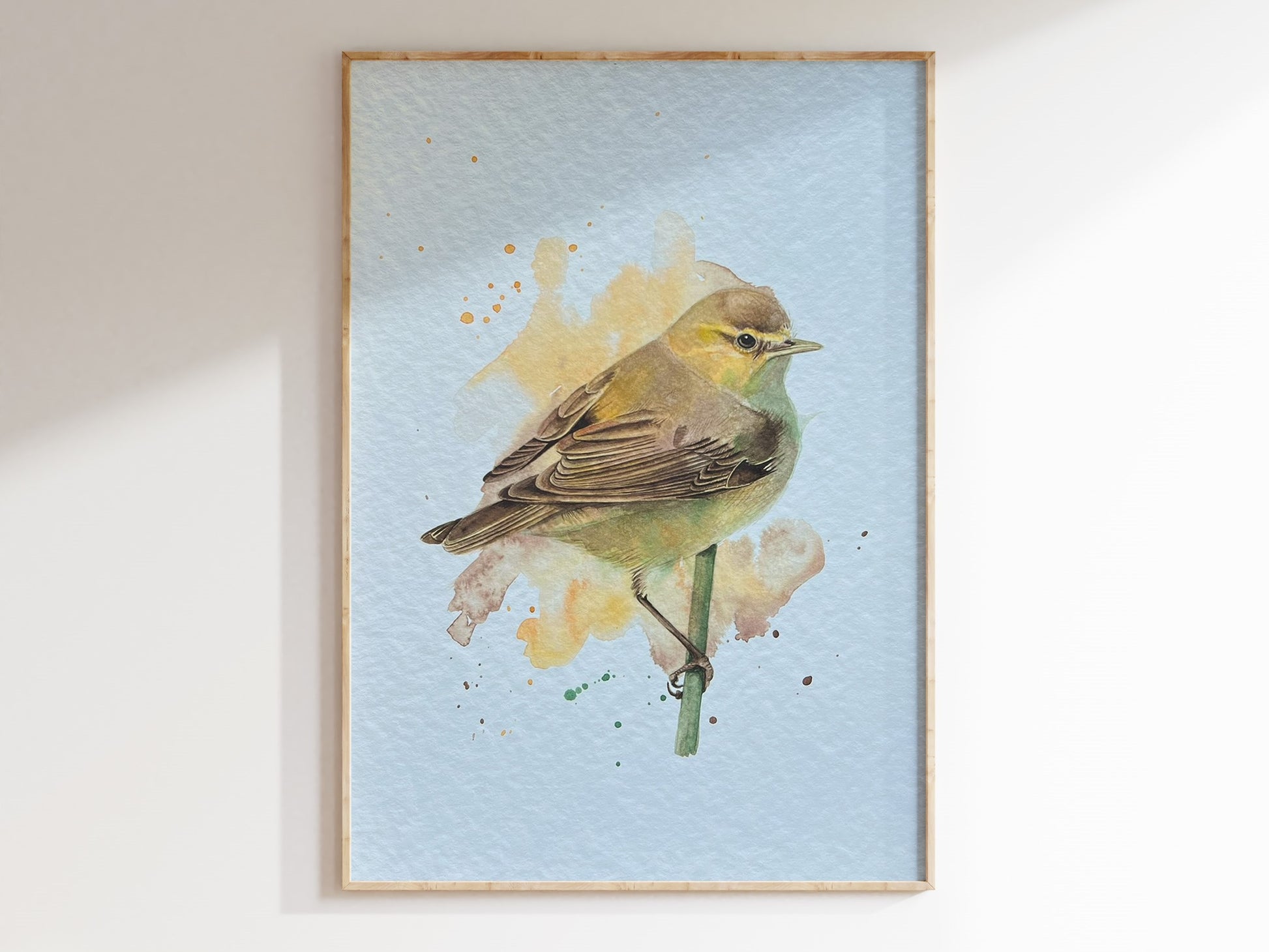 An A4 print of a chiffchaff on textured archival paper.