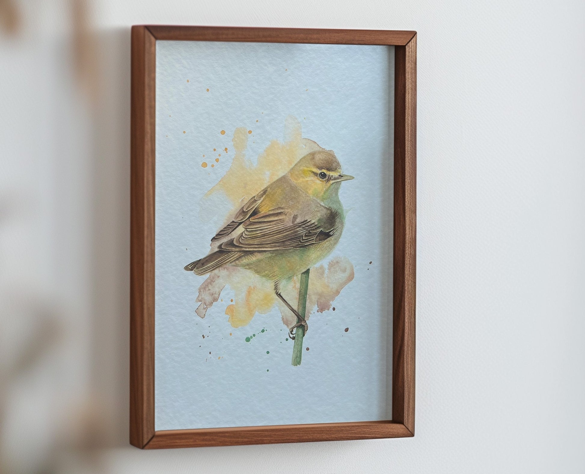 An A4 print of a chiffchaff on textured archival paper.