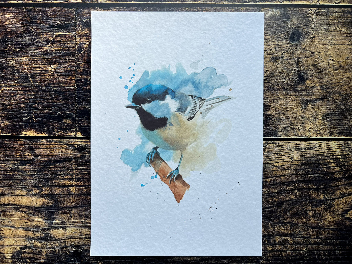 An A4 print of a coal tit on textured archival paper.