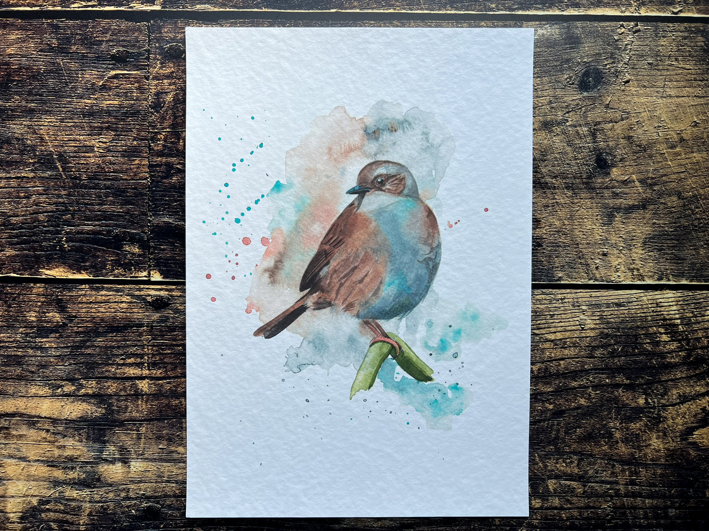 An A4 print of a dunnock on textured archival paper.