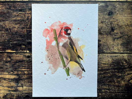 An A4 print of a goldfinch on textured archival paper.