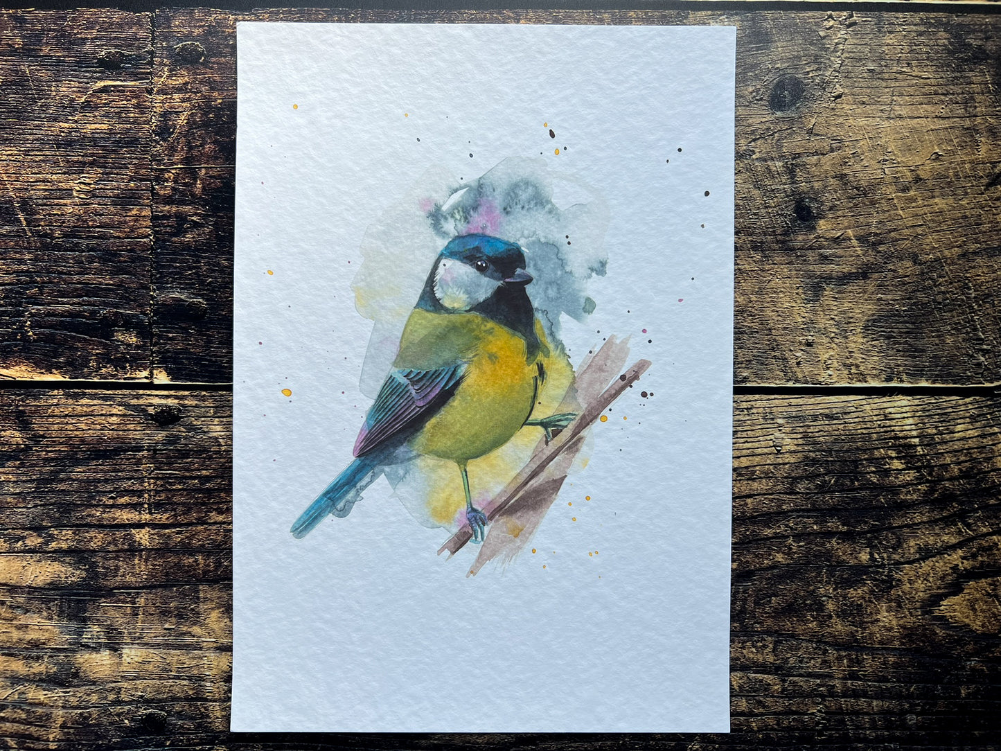 An A4 print of a great tit on textured archival paper.