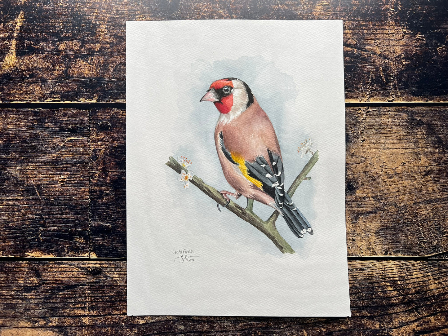 Goldfinch on blossoming branch watercolour painting