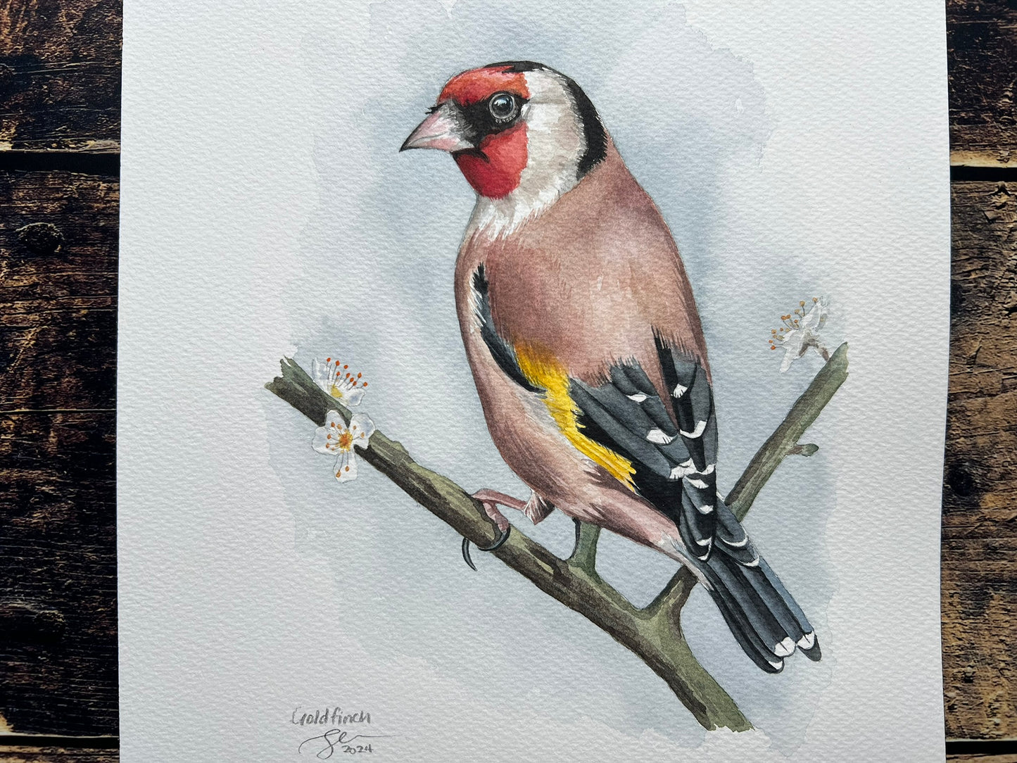 Goldfinch on blossoming branch watercolour painting