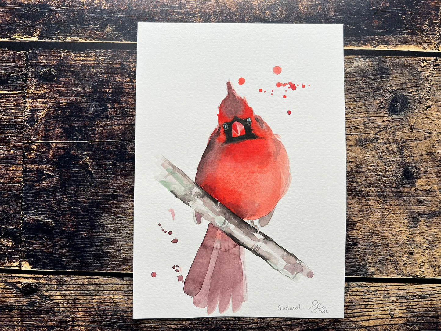 Cardinal, front facing - A5 watercolour painting