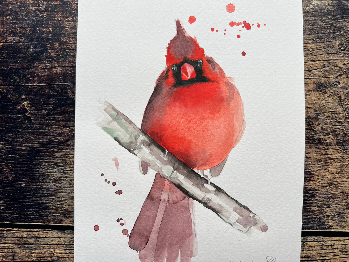 Cardinal, front facing - A5 watercolour painting