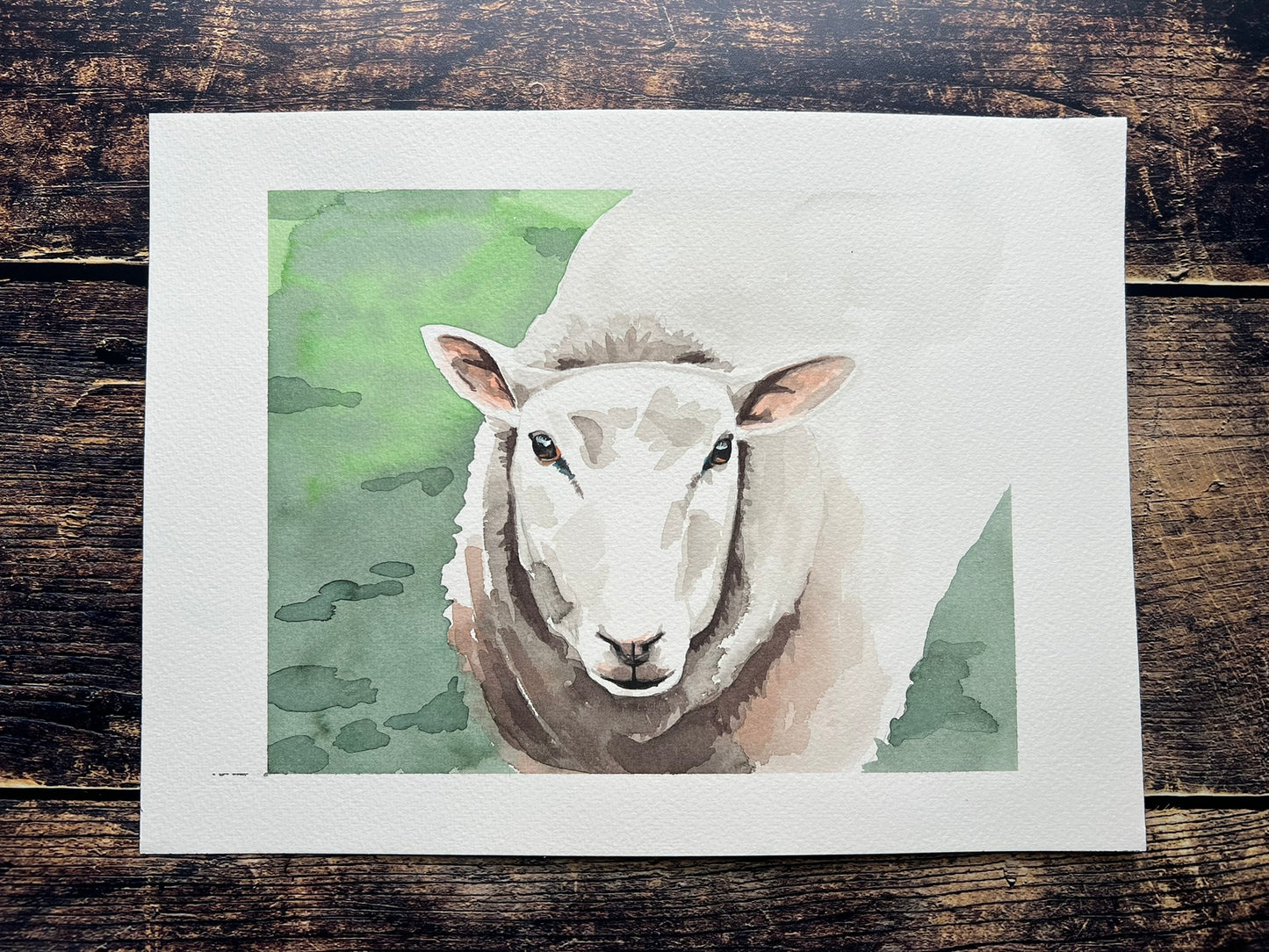 Sheep A4 watercolour painting