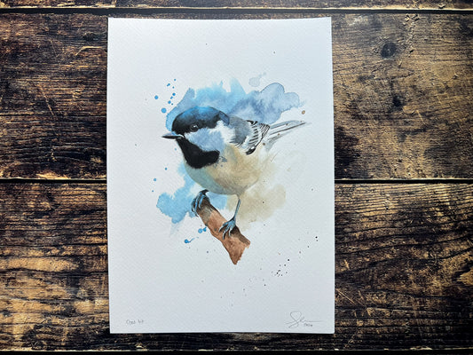 An A4 original watercolour painting of a coal tit on 300gsm watercolour paper.