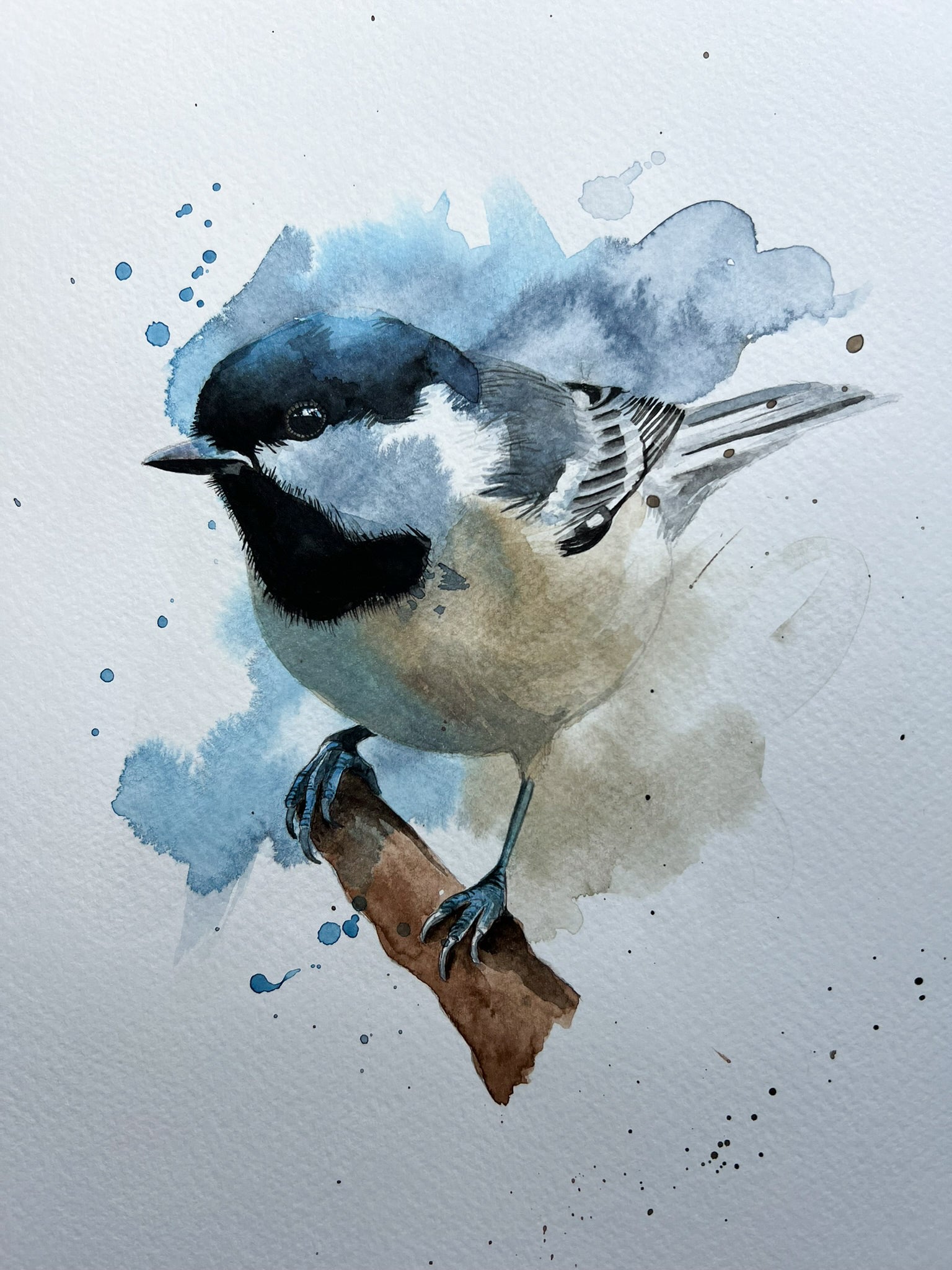 An A4 original watercolour painting of a coal tit on 300gsm watercolour paper.