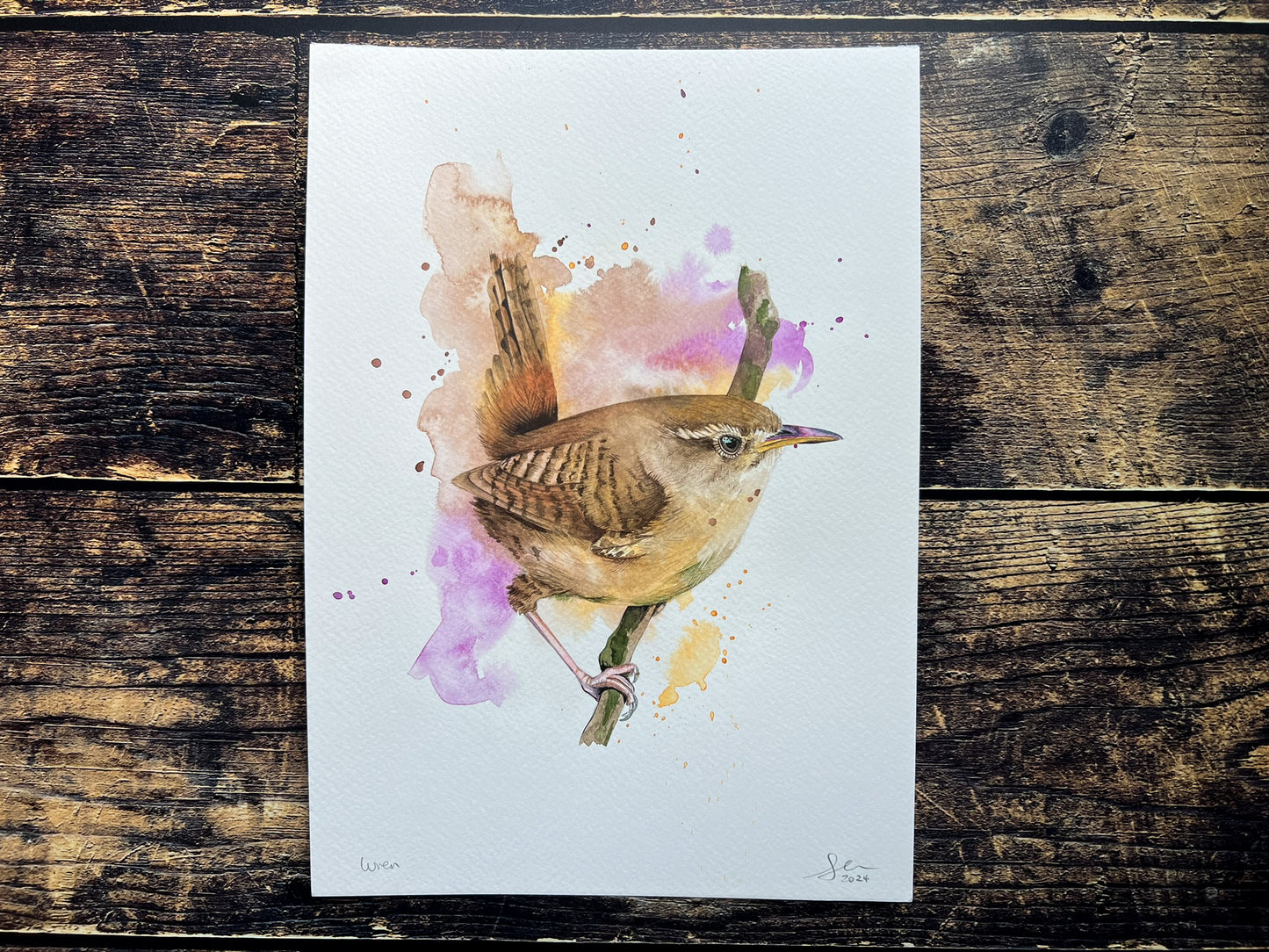 An A4 original watercolour painting of a wren on 300gsm watercolour paper.