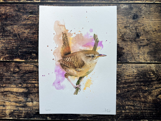 An A4 original watercolour painting of a wren on 300gsm watercolour paper.