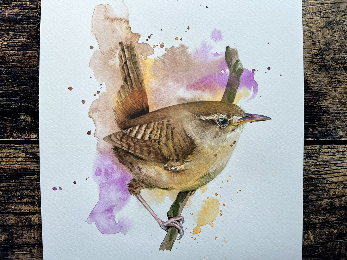 An A4 original watercolour painting of a wren on 300gsm watercolour paper.