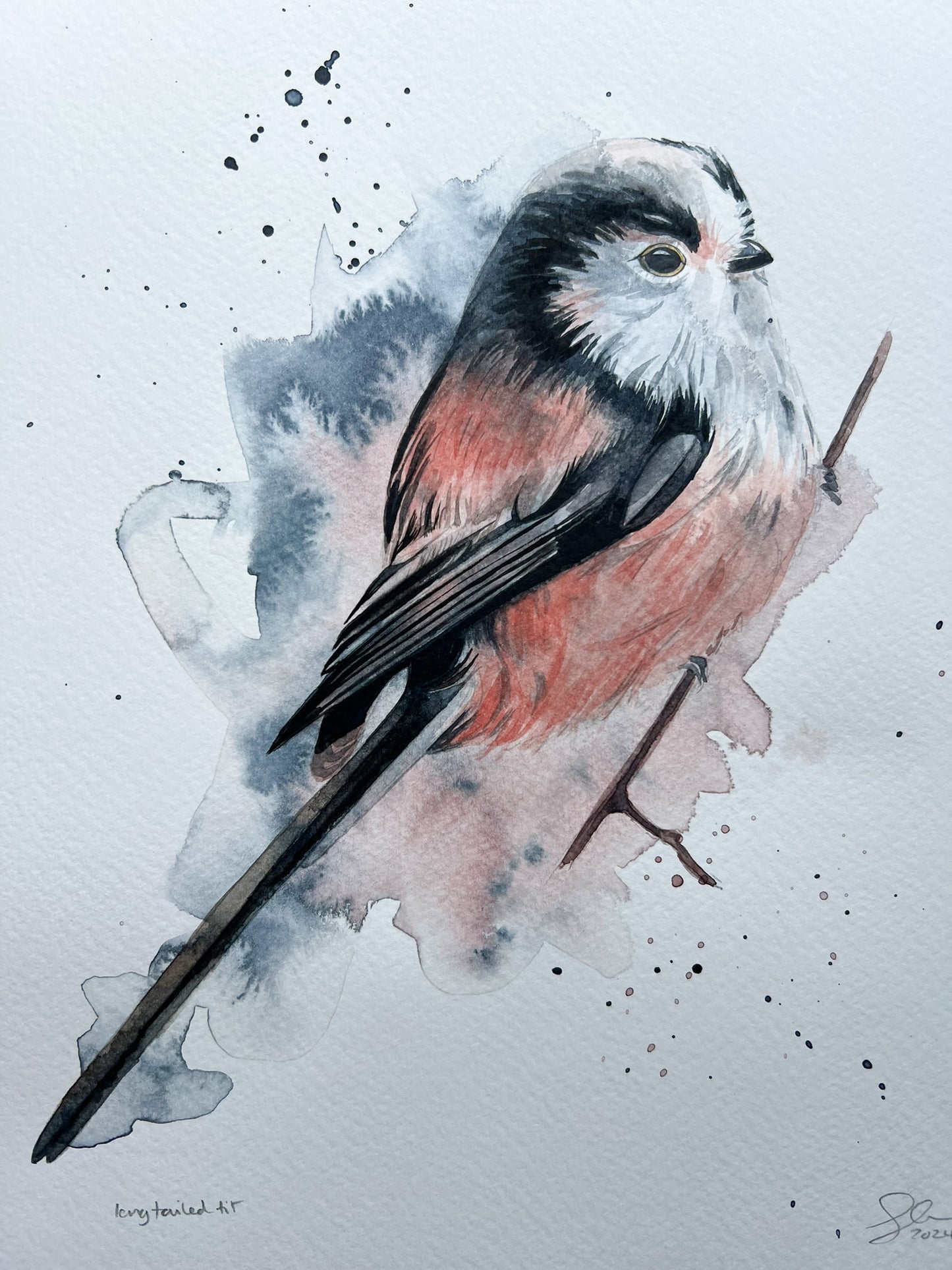 An A4 original watercolour painting of a long-tailed tit on 300gsm watercolour paper.