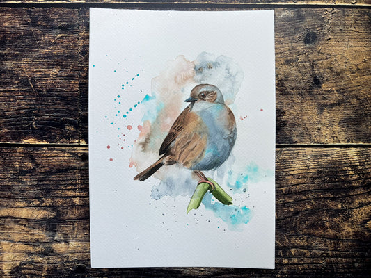 An A4 original watercolour painting of a dunnock on 300gsm watercolour paper.