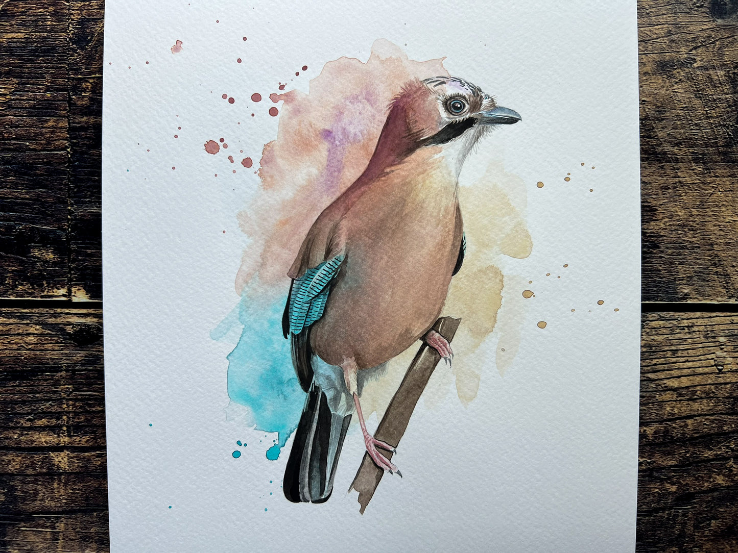 An A4 original watercolour painting of a jay on 300gsm watercolour paper.