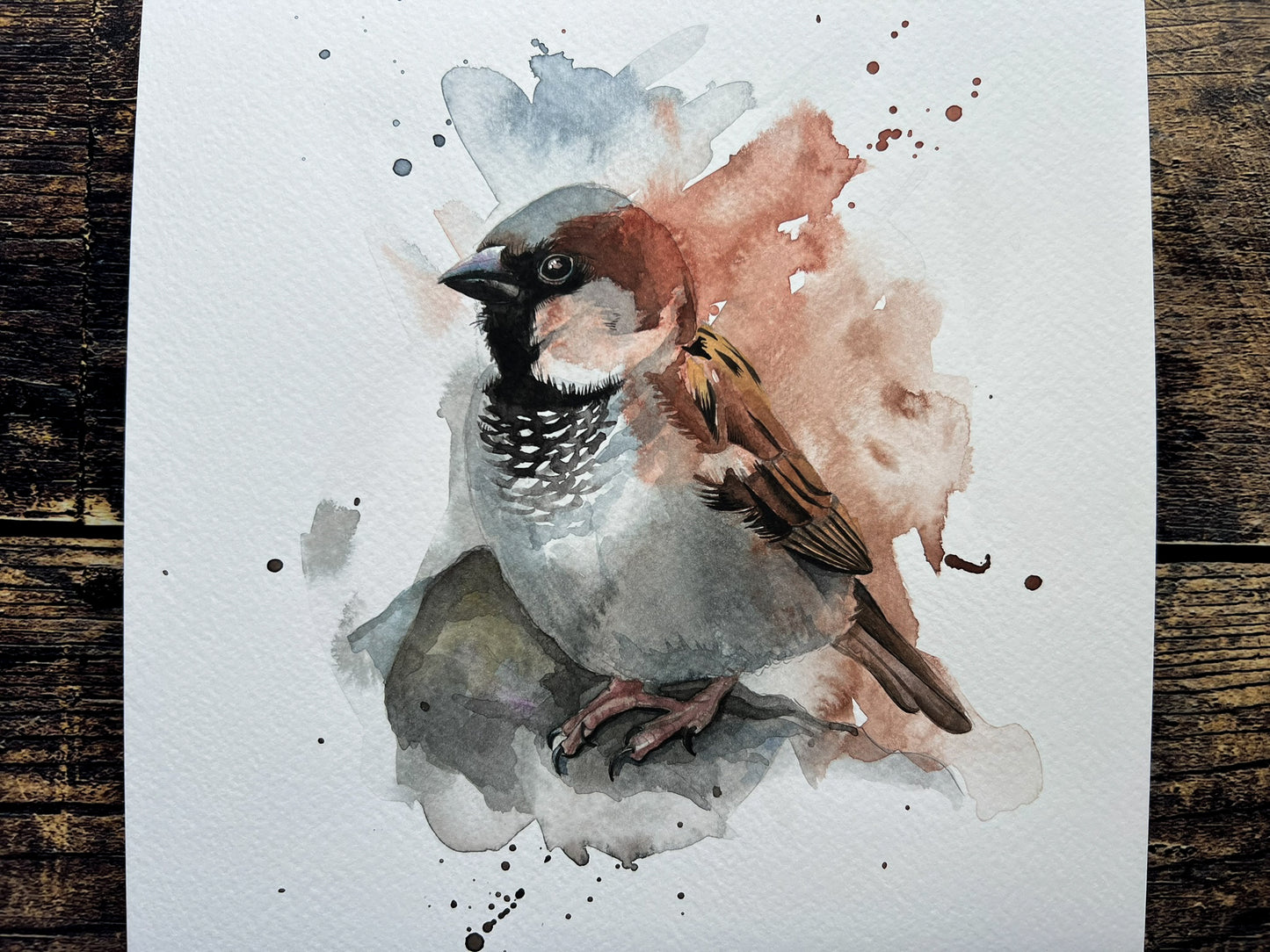 An A4 original watercolour painting of a house sparrow on 300gsm watercolour paper.