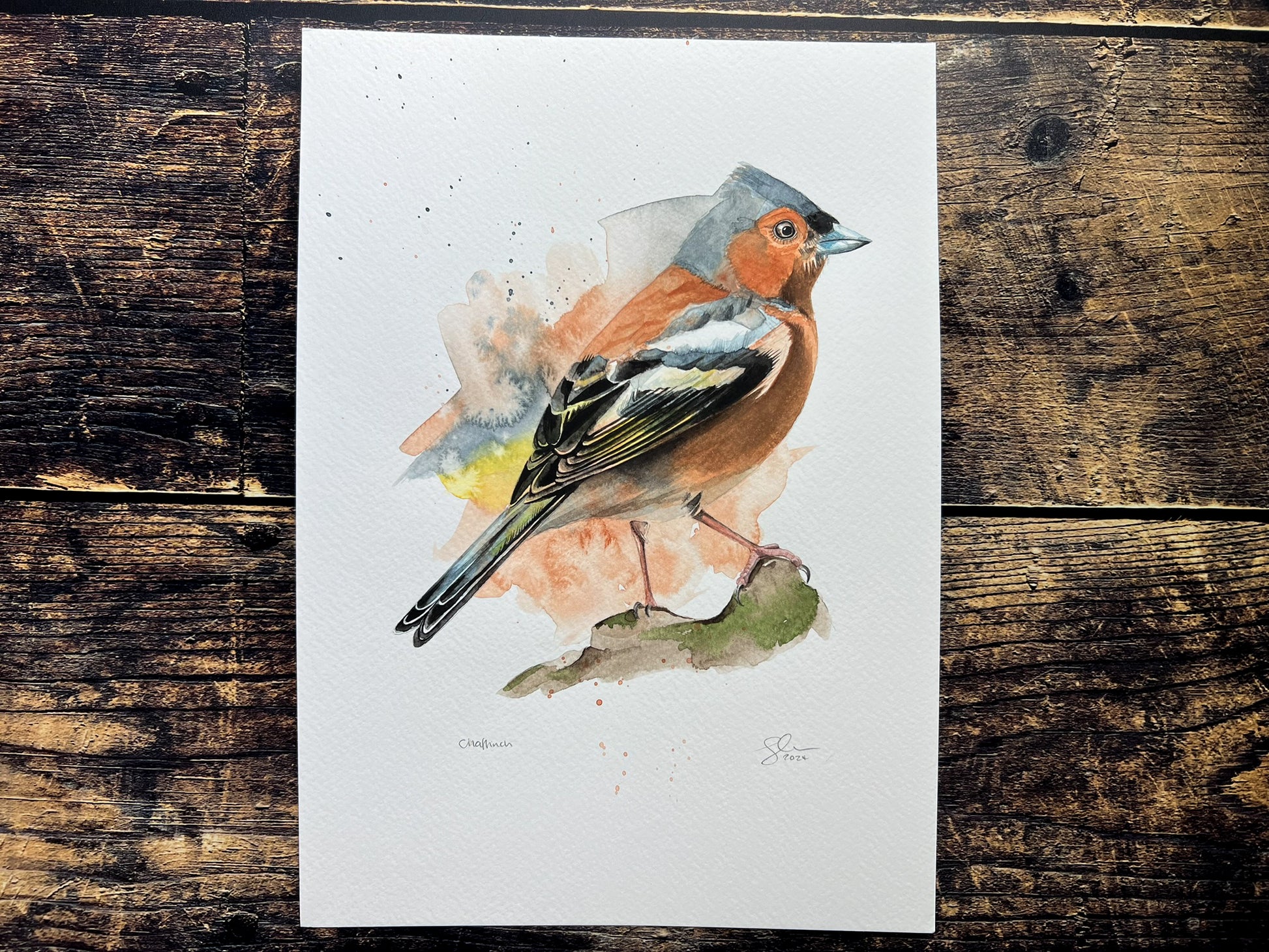 An A4 original watercolour painting of a blue tit on 300gsm watercolour paper.