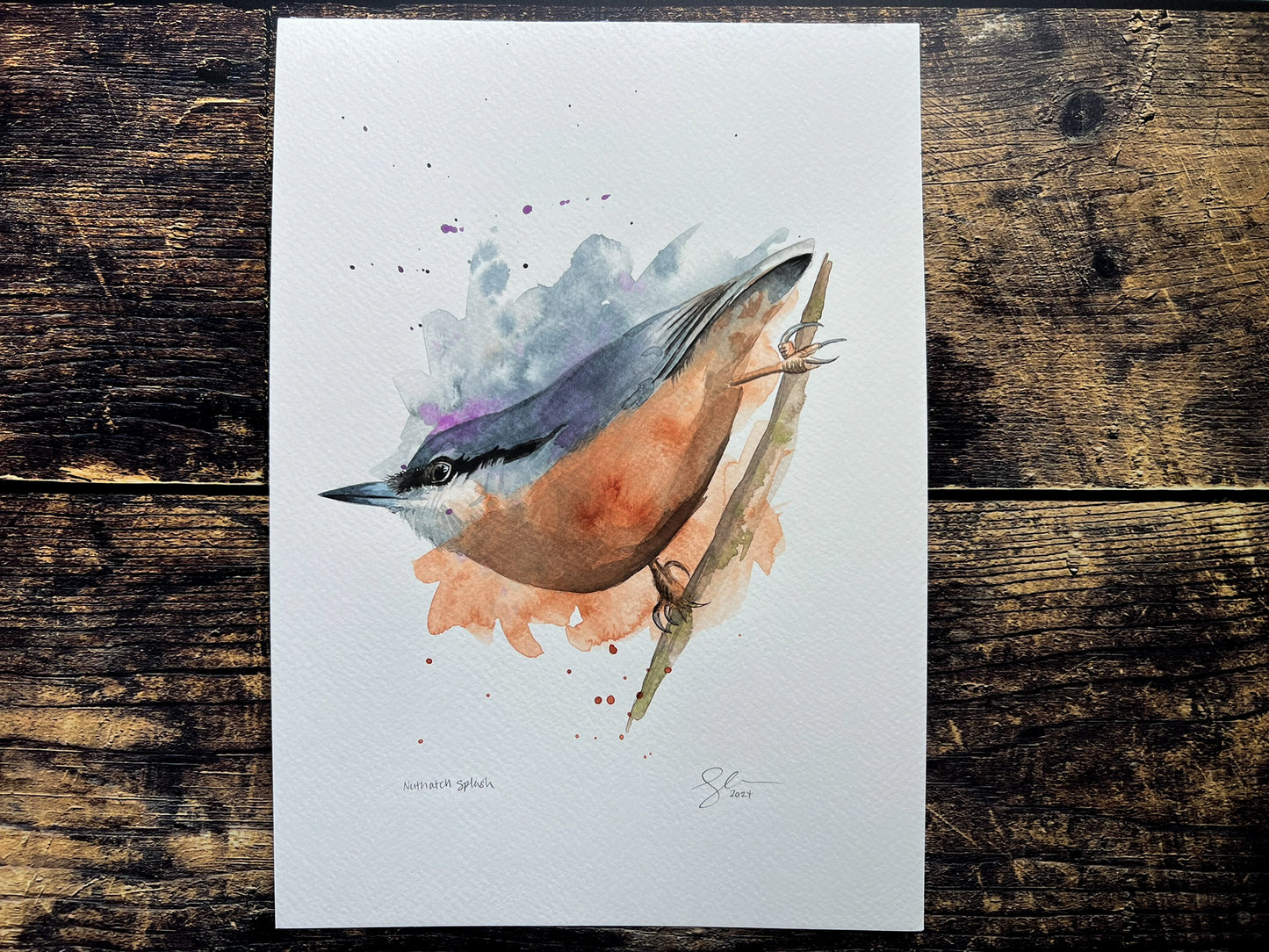 An A4 original watercolour painting of a nuthatch on 300gsm watercolour paper.