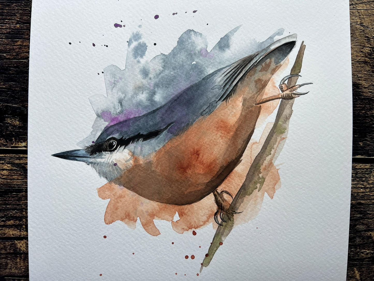 An A4 original watercolour painting of a nuthatch on 300gsm watercolour paper.