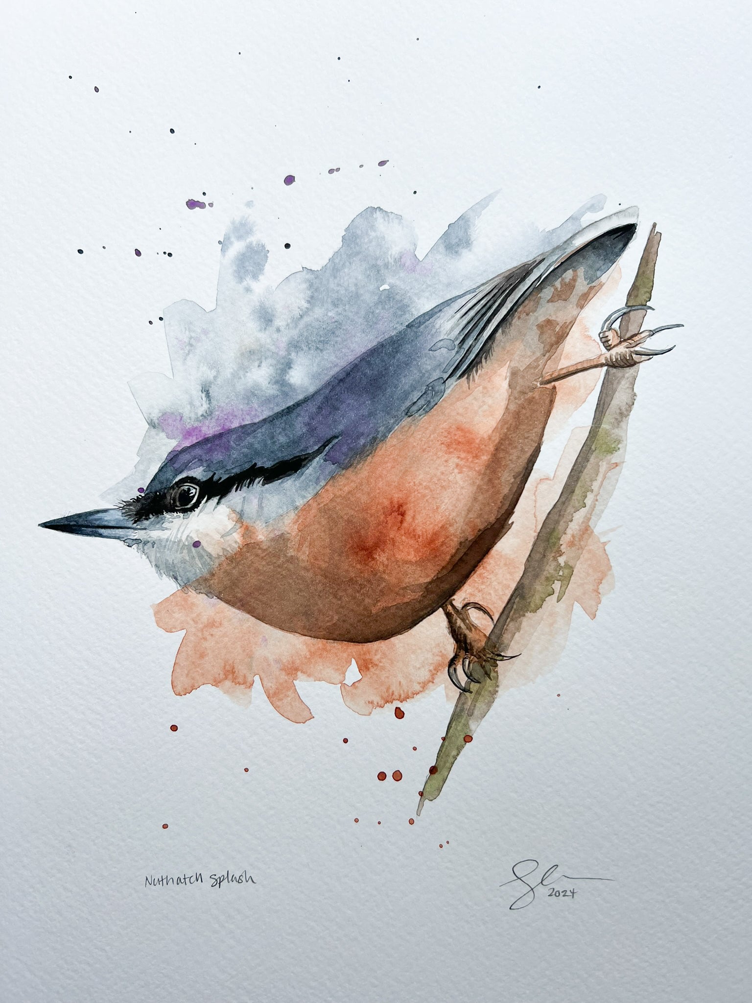 An A4 original watercolour painting of a nuthatch on 300gsm watercolour paper.