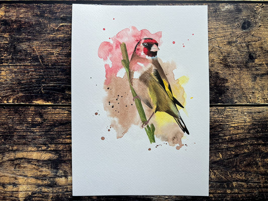 An A4 original watercolour painting of a goldfinch on 300gsm watercolour paper.