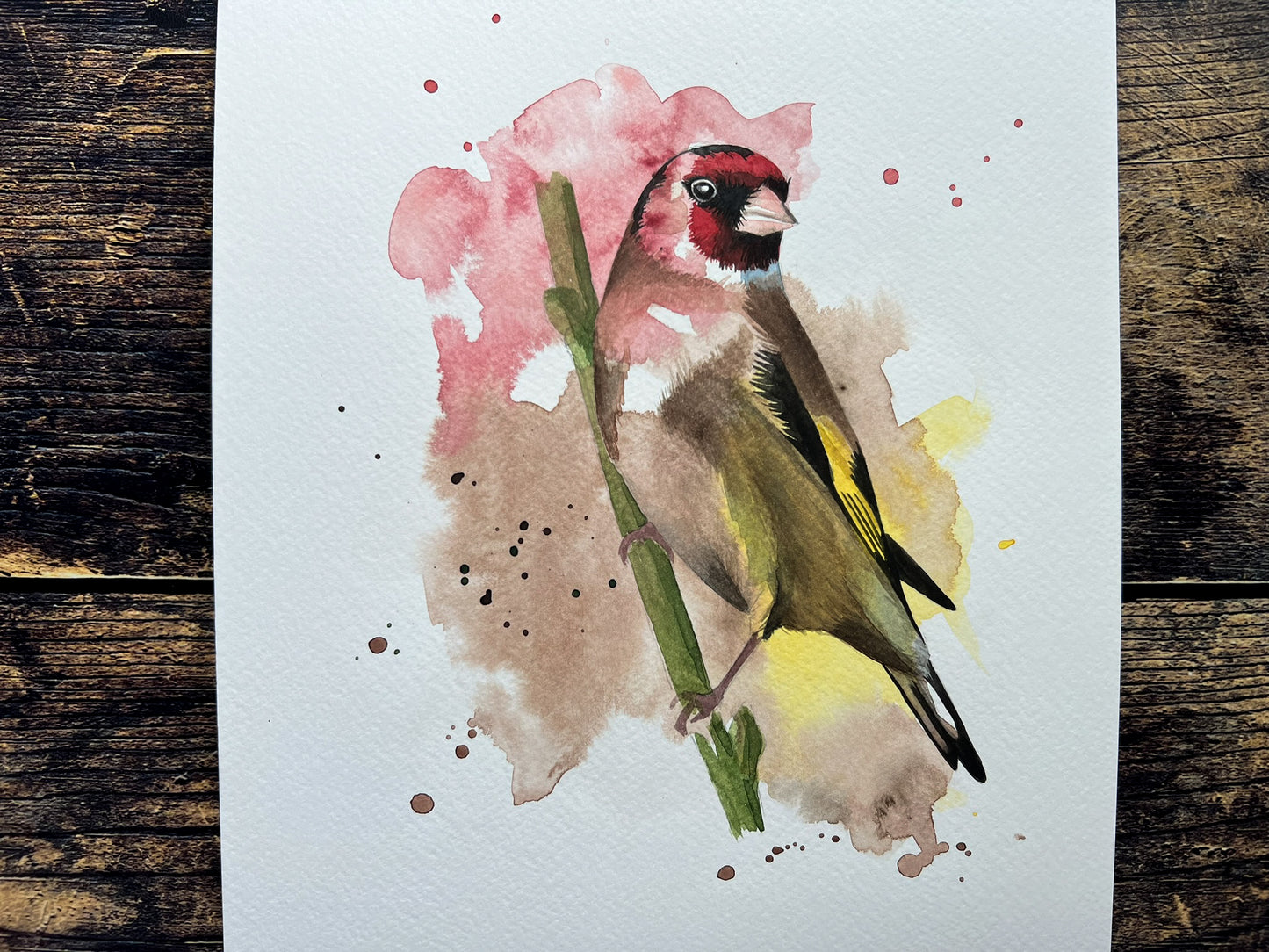 An A4 original watercolour painting of a goldfinch on 300gsm watercolour paper.