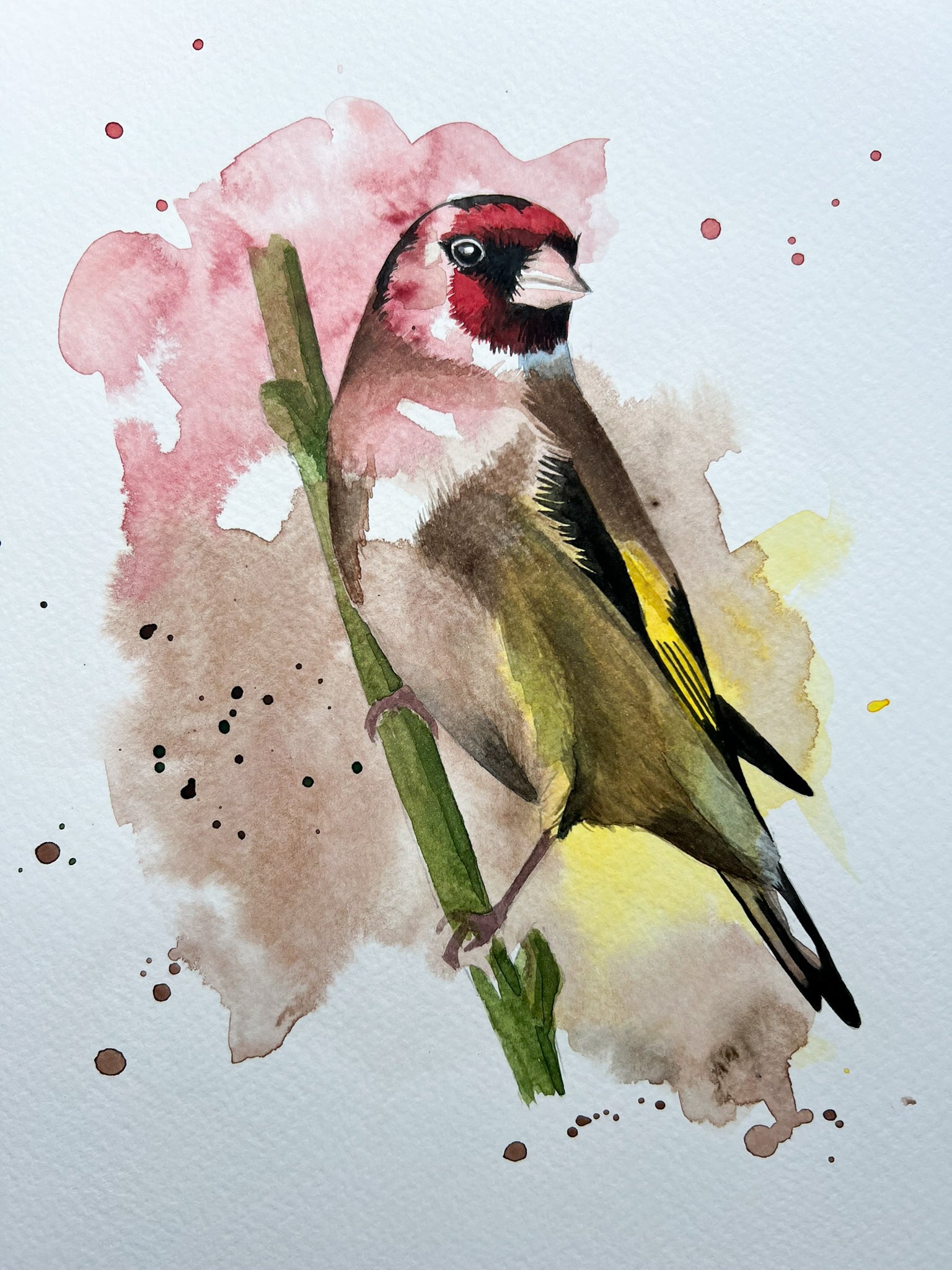 An A4 original watercolour painting of a goldfinch on 300gsm watercolour paper.