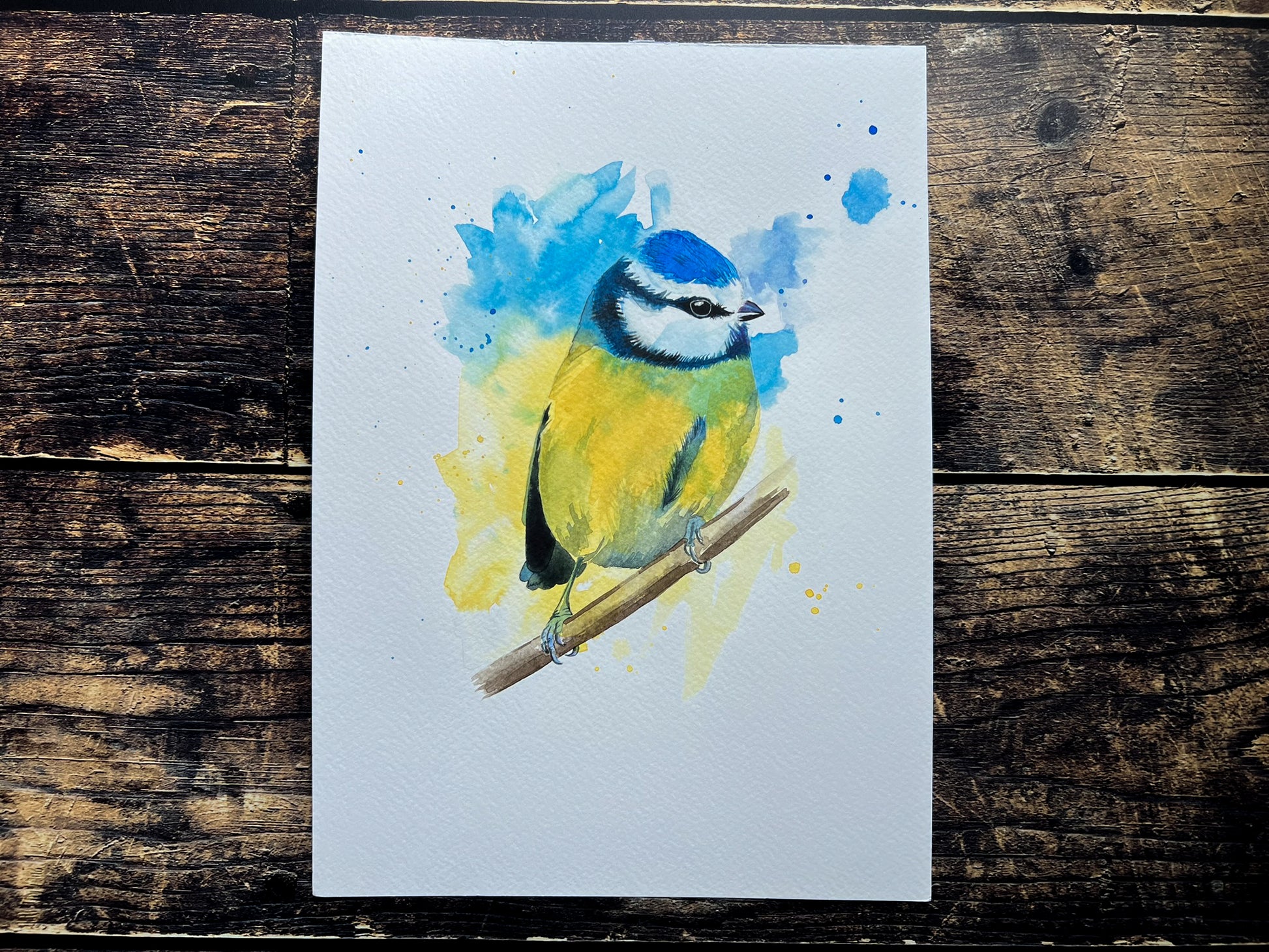 An A4 original watercolour painting of a blue tit on 300gsm watercolour paper.