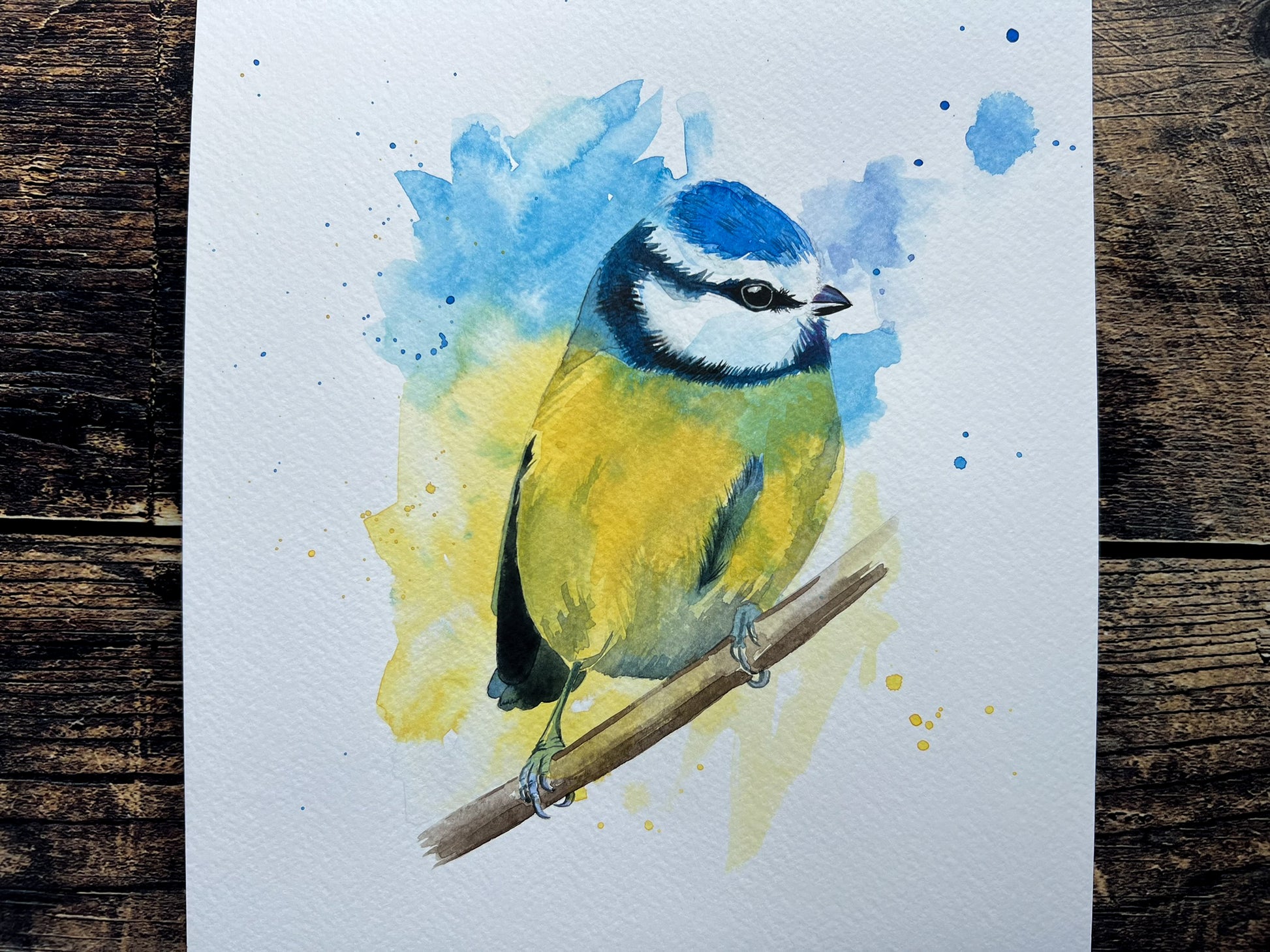 An A4 original watercolour painting of a blue tit on 300gsm watercolour paper.