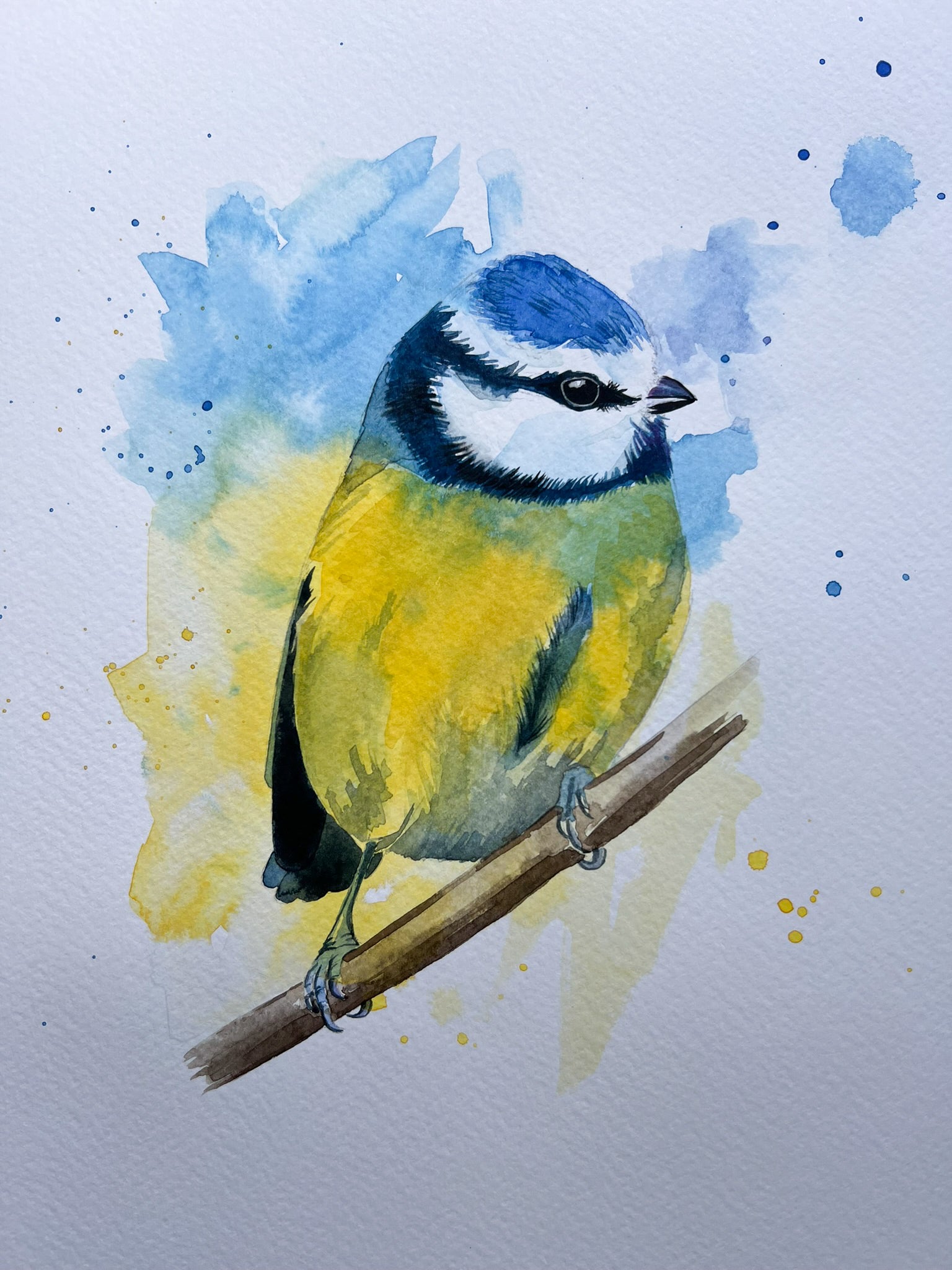 An A4 original watercolour painting of a blue tit on 300gsm watercolour paper.