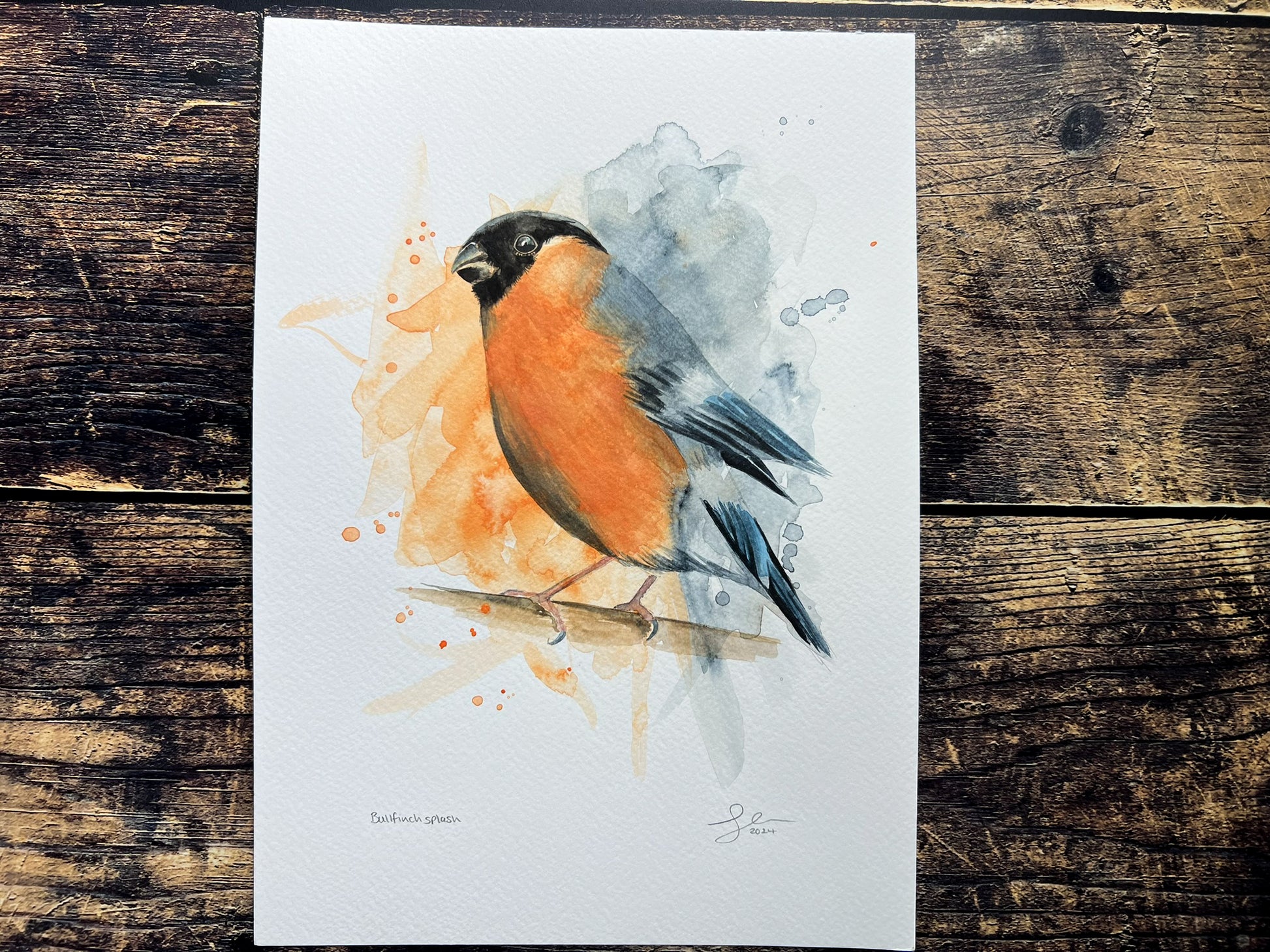 An A4 original watercolour painting of a blue tit on 300gsm watercolour paper.