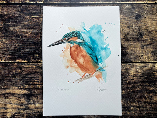 An A4 original watercolour painting of a kingfisher on 300gsm watercolour paper.