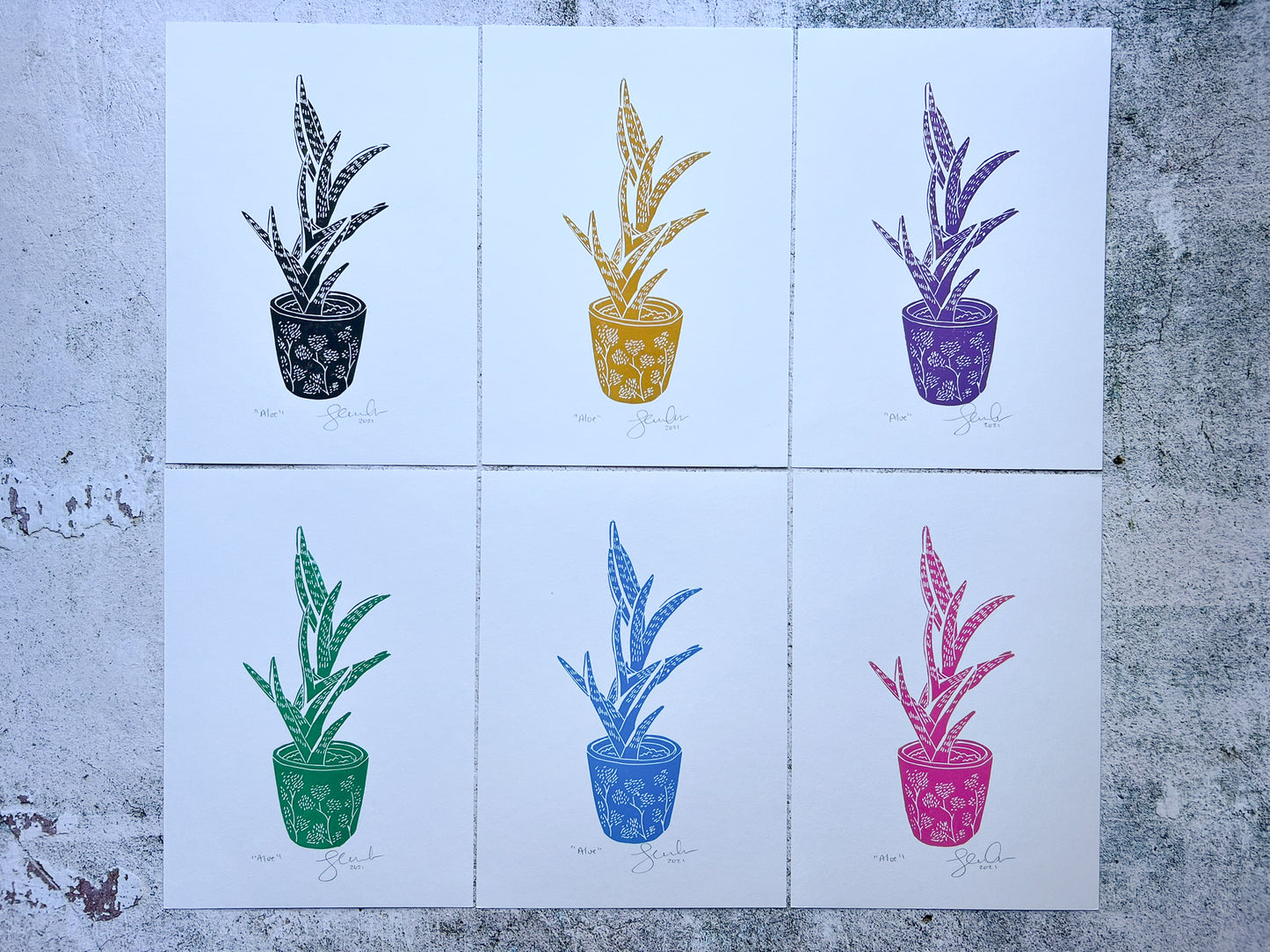 Aloe A5 print - SALE