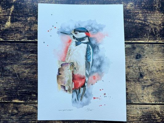 A watercolour painting of a great spotted woodpecker