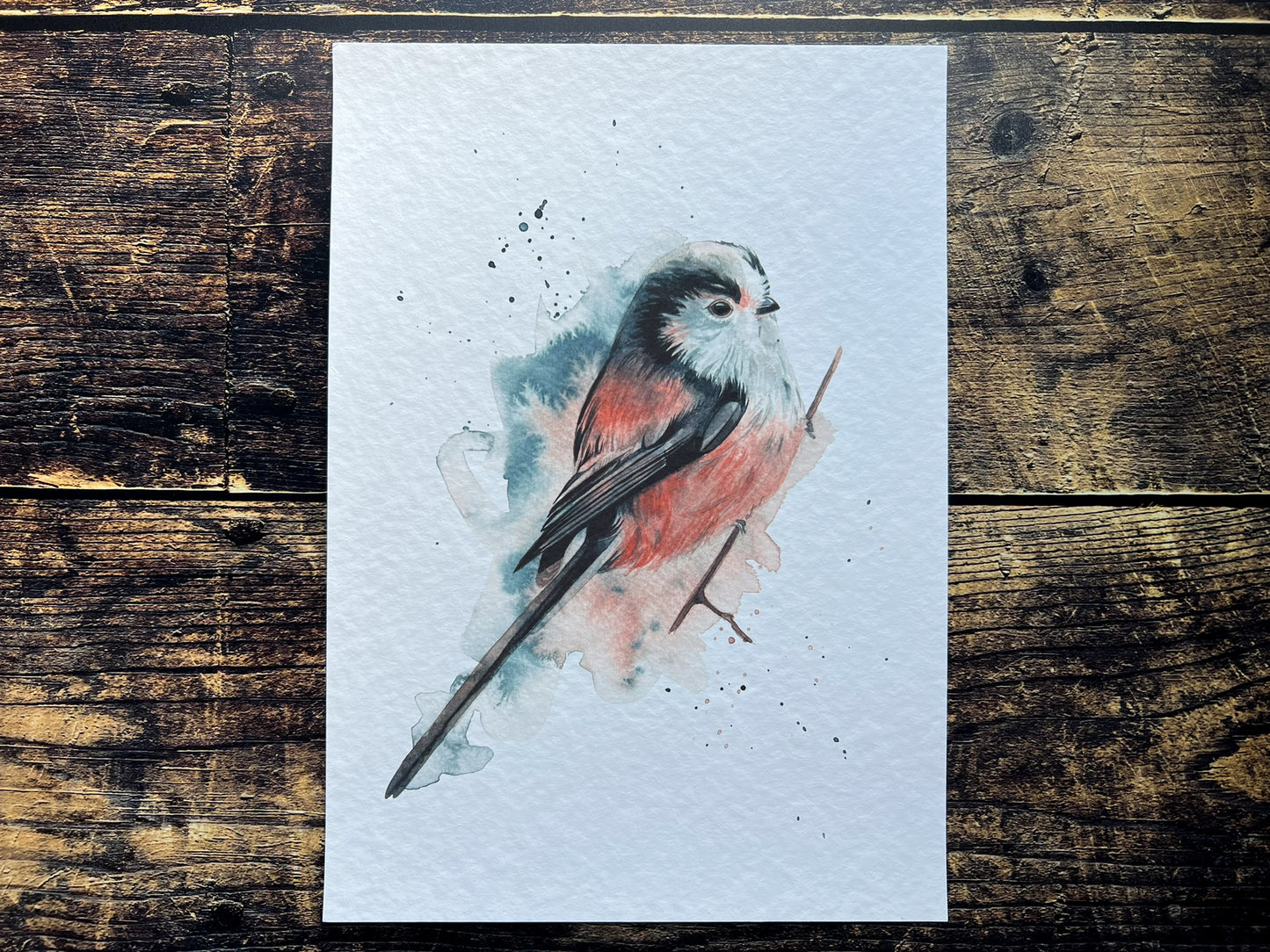 An A4 print of a long-tailed tit on textured archival paper.