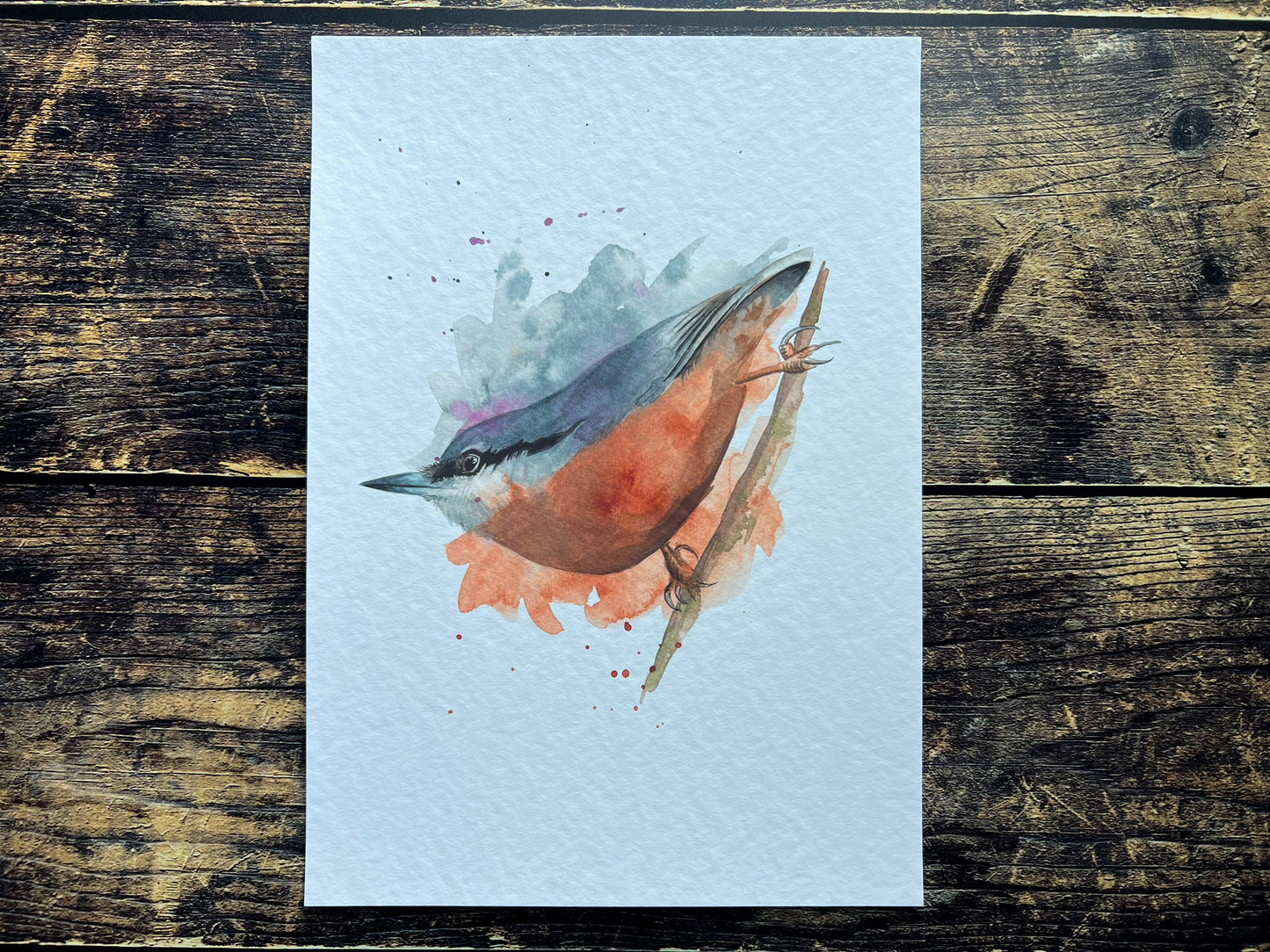 An A4 print of a nuthatch on textured archival paper.