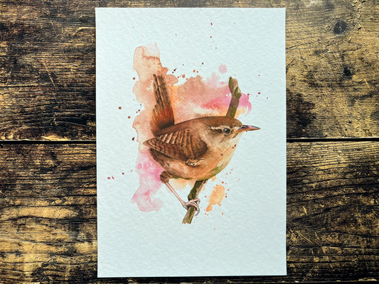 An A4 print of a wren on textured archival paper.