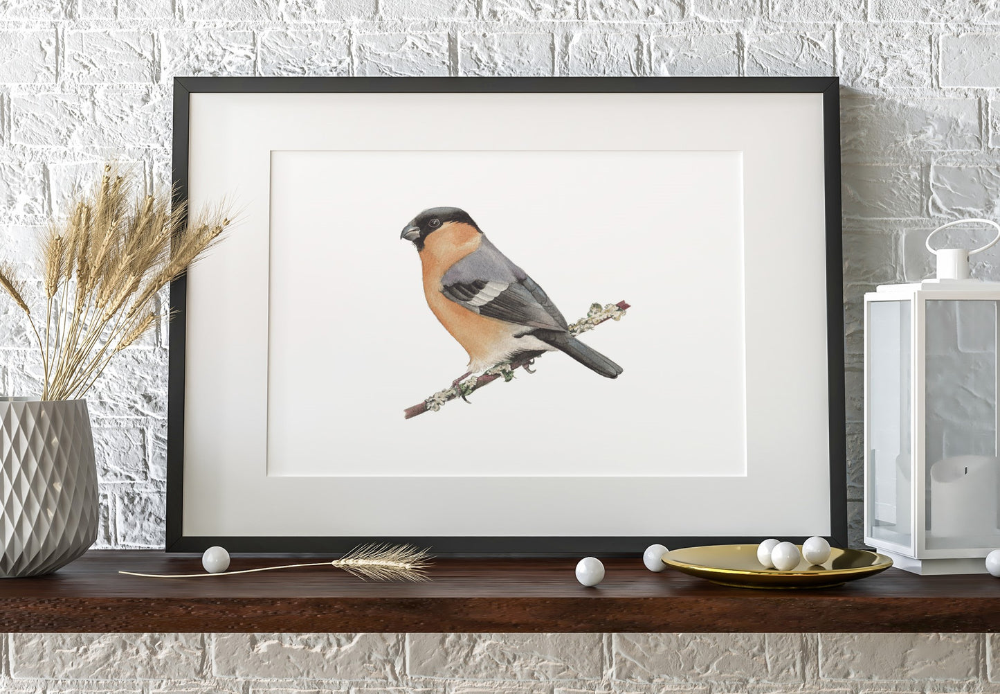 Bullfinch A4 art print