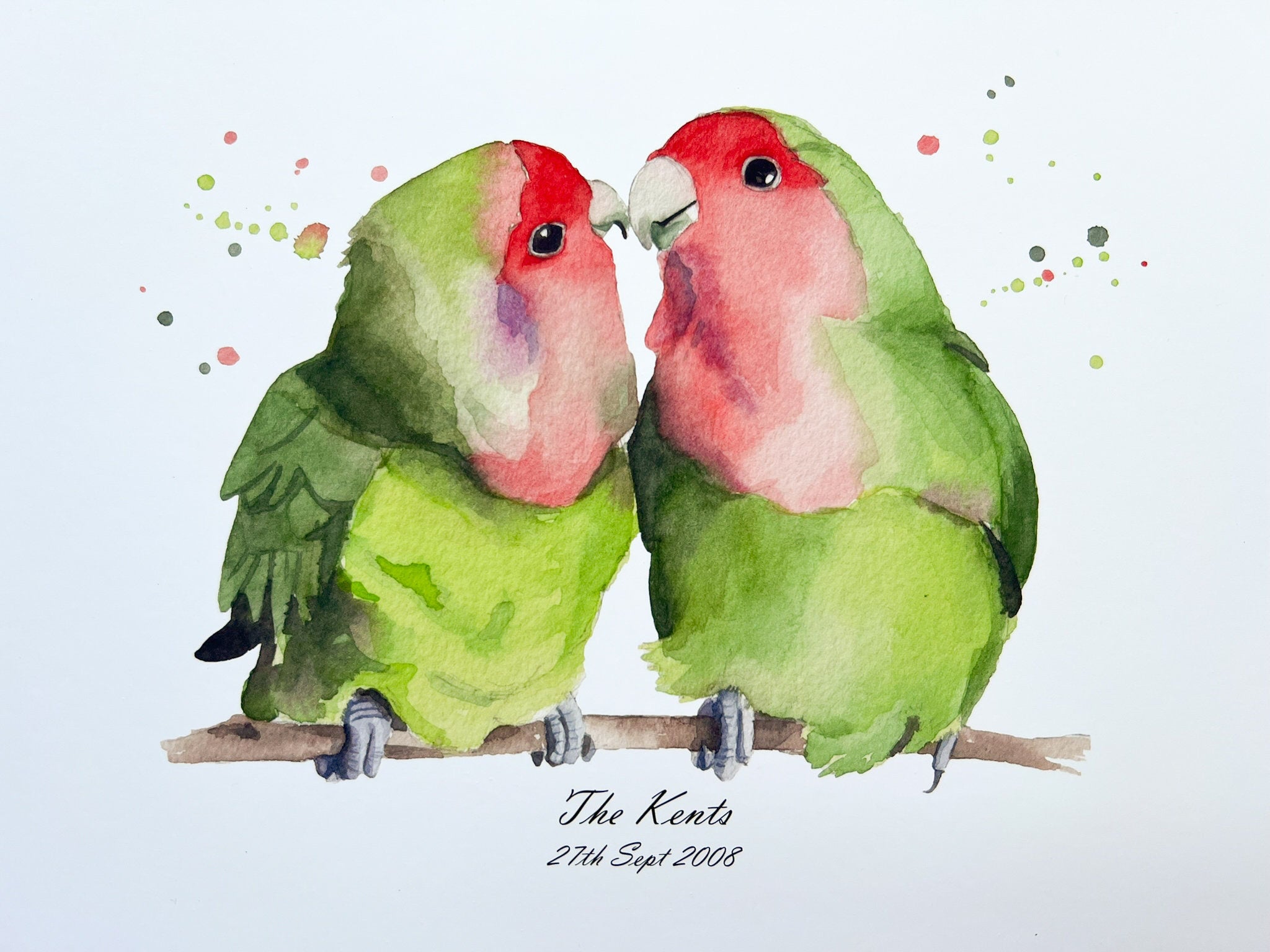 How To Draw Lovebirds, Step by Step, Drawing Guide, by Dawn - DragoArt